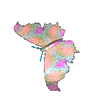 Animated butterfly